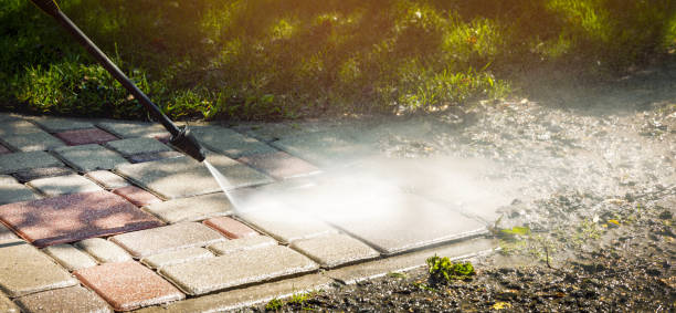 Best Building Exterior Washing  in Wild Peach Village, TX